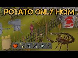 Your comment will be posted to mailonline as usual. Cannon Control Potato Only Hcim Ep 4 Osrs Youtube