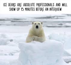 54 Amazing Animal Facts You Didn T Know Funny Animal Facts Polar Bear Animal Facts