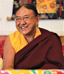 Image result for Tristachya rehmannii