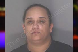 Brittany David — Douglas County Jail Bookings