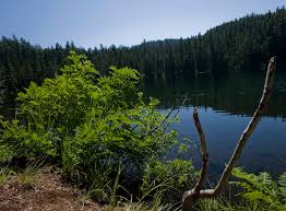 Oregon coast hotels, resorts, inns, deals & packages Hideaway Lake Oregon Erinhalley Flickr