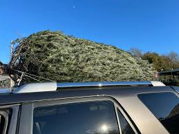 Sheldon Haygood WBRC