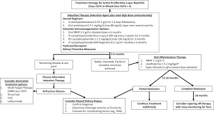Mathian a., mahevas m., rohmer j. Update On Lupus Nephritis Core Curriculum 2020 American Journal Of Kidney Diseases