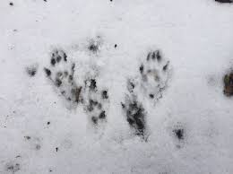 Maybe you would like to learn more about one of these? January 2015 New York State Parks Blog