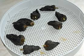 Maybe you would like to learn more about one of these? Drying Poblano Peppers Ancho Peppers Stuffed Peppers Food Stuffed Poblano Peppers
