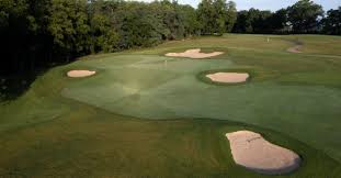 Image result for Lawsonia