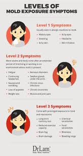 Fundamentals Of Mold Exposure Symptoms And Adrenal Fatigue Syndrome Mold Exposure Adrenal Fatigue Chronic Fatigue Syndrome Symptoms