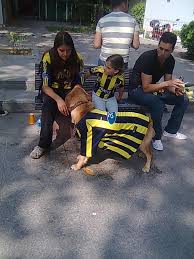 Reacting to turkish football fans galatasaray fenerbahce besiktas. File Fenerbahce Sk Fans Jpg Wikipedia