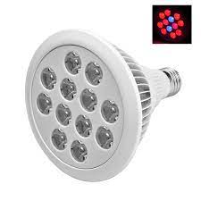 Just plug it in and grow. Wholesale 24 Watt E27 Led Grow Light From China