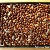 See more ideas about pine cone crafts, cones crafts, pine cones. 1