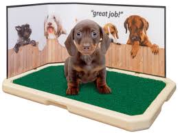 Everyone with a cat knows how hard it can be to get cat urine out of things and this stuff works. How To Get The Smell Of Pet Urine Out Of Your Carpet Petsafe