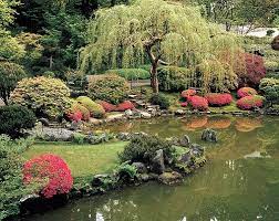 Maybe you would like to learn more about one of these? Please Help Id This Tree Trees Forum Gardenweb Japanese Garden Plants Japanese Garden Portland Japanese Garden