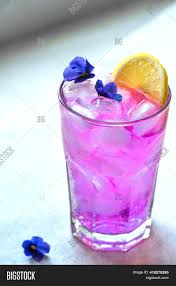 Dig in plenty of compost to enrich the soil and help with drainage. Purple Haze Cocktail Image Photo Free Trial Bigstock