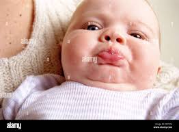 Shrewish hi-res stock photography and images