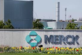 Merck canada and mars team up to launch lung cancer innovation challenge. Merck S New Cancer Drug Wins Speedy Approval In China Caixin Global