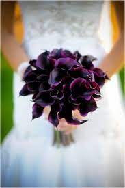 Purple Calla Lillies Purple Calla Lilies Calla Lily Wedding Fall Wedding Flowers