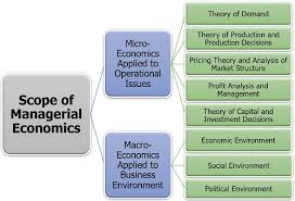 What Is Managerial Economics Definition Nature Types Principles Scope The Investor S Book