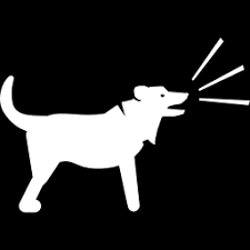 270 littleton road unit 20 westford, ma 01886. North Carolina Veterinarians Whole Pet Veterinary Hospitals