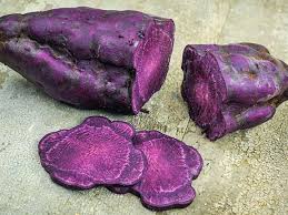 We did not find results for: Purple Vegetable Garden Seeds The Old Farmer S Almanac