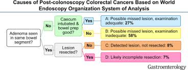 It is sometimes known as colorectal cancer and might also be called colon cancer or rectal cancer, depending on where in the bowel it starts. Causes Of Post Colonoscopy Colorectal Cancers Based On World Endoscopy Organization System Of Analysis Gastroenterology
