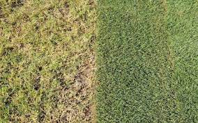 Minor lawn repair doesn't involve removing your old lawn and soil and replacing it. How To Repair A Lawn Seed Bare Patches Scotts