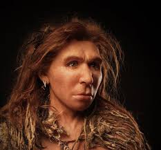 Ancient Dna Studied By Researchers Has Found That A Mutation Resulted In Red Hair And Light Skin Among Neanderthals Accord Human Evolution Neanderthal Hominid
