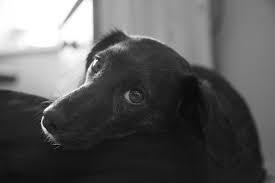 Image result for sad