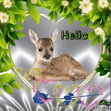 Bird Is The Word Gif Https Encrypted Tbn0 Gstatic Com Images Q Tbn 3aand9gcrebiqfhqc2yvewca 7uf3qg5m0y H Wu9q9w Usqp Cau