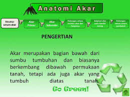 4 K E L O M P Martha Alfiani Epi Wahyuningsih Ppt Download