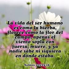 Salmos 103 15 16 La Soberbia Es El Mayor De Los Pecados Por Soberbia Juzgamos A Otros Haciendonos Jueces Como Soberbia Salmos Frase De Fe Textos Biblicos