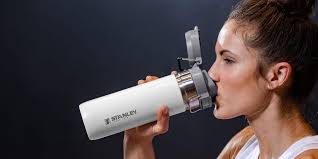 Refresh your to-go cup with Stanley's steel GO Bottle at $19 (25% off),  plus food jars and more