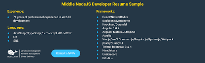 how node js developer resume should