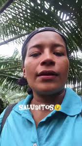 Trabajo de Palmas: Comenzando un Nuevo Día