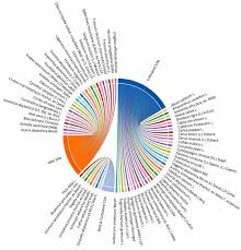 Image result for Cordia afra