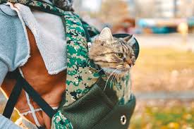 Mogoko dog cat carrier backpack. Best Cat Backpacks 15 Best Backpack Carrierers For Cats Reviews