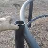 Download our simple plans and provide a sturdy place to feed your livestock. 1