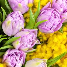 Festeggiare l'8 marzo non è semplice: Fiori E Piante Da Regalare Per La Festa Della Donna