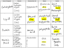 61 punctilious molecules chart