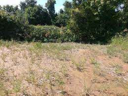 Here is yet another example, this time closer to home, of the disastrous consequences of unknowingly buying property with wetlands. Construction Near A Wetland 101 Environmental Works