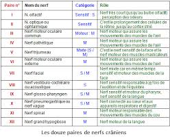 Transplantation Cardiaque Dictionnaire Medical