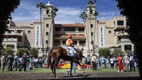 Image result for how wide is the delmar turf course