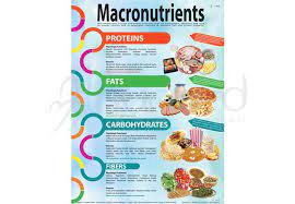 In addition, all of these nutrients provide your body with energy measured in the form of calories or kcals. This Poster Introduces The 3 Major Macronutrients Carbohydrates Fats And Proteins Micro Nutrients Nutrition Healthy Eating Macro And Micro