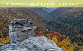 Is Kratom Legal In West Virginia