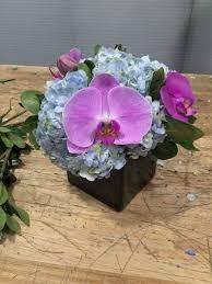 The Most Bright And Beautiful Orchids Accompanied By Some Blue Hydrangea Flowers Nyc Starbright Beautiful Orchids Blue Hydrangea Orchids