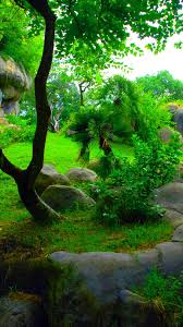 Best nature hd wallpapers for mobile and desktop, android and iphone. Full Hd Green Nature Wallpaper Hd For Mobile