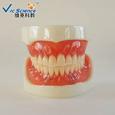 Daftar lengkap harga behel gigi terbaru 2019 beserta penjelasannya. Model Implan Gigi Tiruan Penuh Model Implan Model Gigi Tiruan Buy Gigi Tiruan Lengkap Model Implan Implan Model Model Denture Product On Alibaba Com