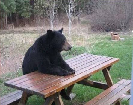 D���n ki O Bu Yaz�y� Okuyacak