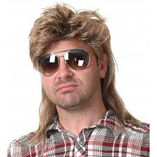 Amazon.com: Baruisi 80s Men's Mullet Wig Brown Cosplay Halloween Wig for  Fancy Dress : Clothing, Shoes & Jewelry