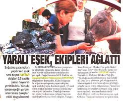 BASINDA HAYTAP | KURUMSAL | HAYTAP - Hayvan Hakları Federasyonu