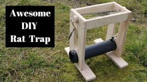 Top 10 working rat traps: How To Make A Homemade Rat Trap Inspired By The Tilong Bamboo Rat Trap Youtube